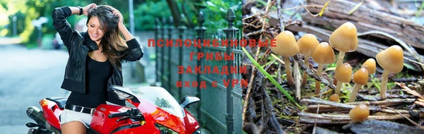 первитин Мегион