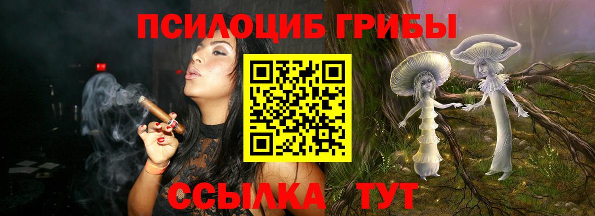 Галлюциногенные грибы MAGIC MUSHROOMS  Вход с VPN  Нижний Новгород 